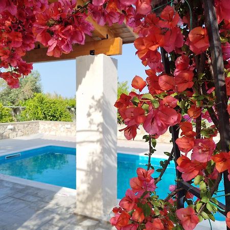 Lianas Garden House Villa Afantou Ngoại thất bức ảnh